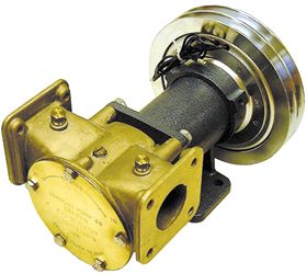 PUMP JOHNSON F8B-5001 12V 2xA