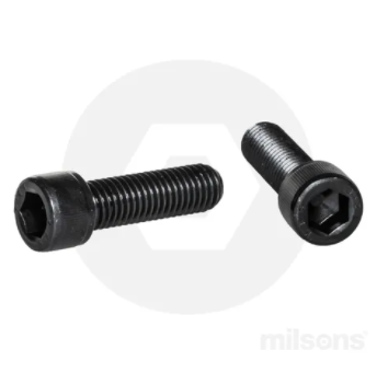 12 X 100mm SOCKET HD CAP SCREWS