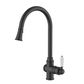 Bordeaux Black Pull Out Kitchen Mixer