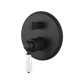 Bordeaux Black Shower Mixer with Diverter