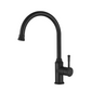 Montpellier Kitchen Mixer Electroplated Matt Black