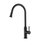 Montpellier Pull Out Kitchen Mixer Electroplated Matt Black