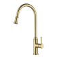 Montpellier Pull Out Kitchen Mixer Pvd Brushed Bronze