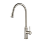 Montpellier Pull Out Kitchen Mixer Pvd Brushed Nickel