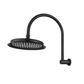 Montpellier Shower Arm & Head Electroplated Matt Black