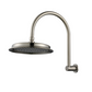 Montpellier Shower Arm & Head Pvd Brushed Nickel
