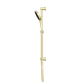 Serenity Rail Shower Brushed Gold