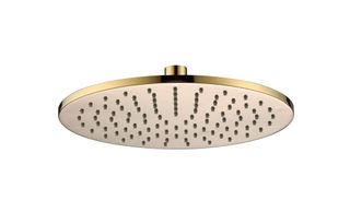 Star PVD Polished Brass Shower Head 250mm