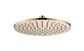 Star PVD Polished Brass Shower Head 250mm