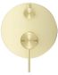 Mica French Gold Shower Mixer Diverter - 1P - TRIM KIT