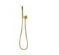 Star PVD Polished Brass Handshower on Bracket