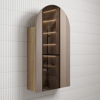 Canterbury Shaving Cabinet Carita