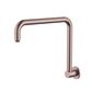 Star PVD Dusk High Rise Shower Arm 350mm