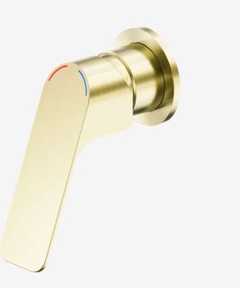 Bianca Care Shower Mixer 60mm Plate Brushed Gold