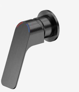 Bianca Care Shower Mixer 60mm Plate Gun Metal