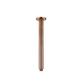 Star PVD Champagne Ceiling Dropper 300mm