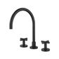 Ryker Matte Black Kitchen Set 1/4 Turn