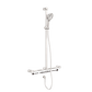 MECCA CARE 32MM T BAR GRAB RAIL AND ADJUSTABLE SHOWER SET 1100X750MM BRUSHED NIC
