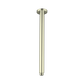 ROUND CEILING ARM 300MM LENGTH BRUSHED GOLD