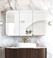 LED Newport 1200(W)x750(H) Sable Walnut Shaving Cabinet - Premium Edition