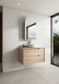 Ainsley Wall Hung Vanty Cab Only 900mm