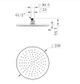 Star PVD Dusk Shower Head 250mm