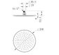 Star PVD Polished Brass Shower Head 250mm