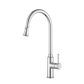 Montpellier Pull Out Kitchen Mixer Electroplated Chrome