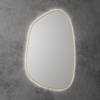 Tarcoola LED Mirror Brushed Gold PVD Frame 553x903mm