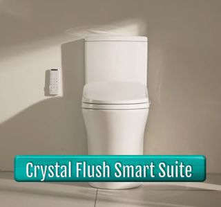 Crystal Flush Rimless Smart Toilet Suite with AVB Backflow Prevention