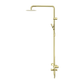MECCA CARE 32MM T BAR GRAB RAIL 1100X750MM TWIN SHOWER SET BRUSHED GOLD