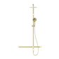 MECCA CARE 32MM T BAR GRAB RAIL 1100X750MM TWIN SHOWER SET BRUSHED GOLD
