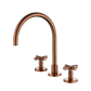 Ryker Champagne Kitchen Set 1/4 Turn