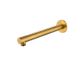 Star PVD Polished Brass Shower Arm Straight 300mm
