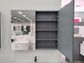 900 Pencil Edge Matte GREY Mirror Cabinet (720 Height)