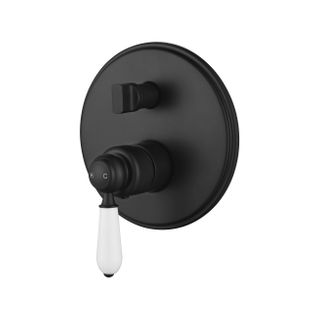 Bordeaux Black Shower Mixer with Diverter