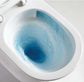 Crystal Flush Rimless Back To Wall Toilet Suite