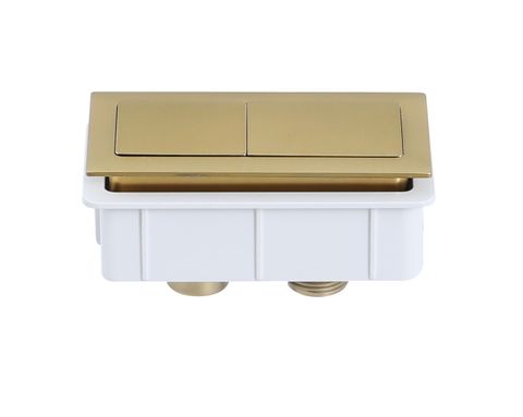 Brushed Gold Square Cistern Buttons