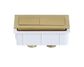 Brushed Gold Square Cistern Buttons