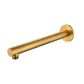 Star PVD Polished Brass Shower Arm Straight 300mm