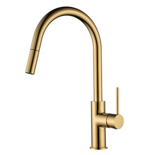 Star PVD Polished Brass 35mm Pull Out Kitchen Mixer