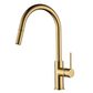 Star PVD Polished Brass 35mm Pull Out Kitchen Mixer