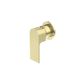 BIANCA SHOWER MIXER 80MM PLATE TRIM KITS ONLY BRUSHED GOLD