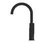 BIANCA KTICHEN MIXER GOOSENECK SPOUT MATTE BLACK