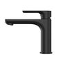 Nova Basin Mixer Electroplated Matt Black