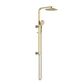 Nova Column Shower Set Pvd Brushed Bronze