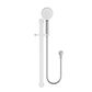 Nova Shower On Rail Electroplated Chrome