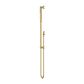 Star Polished Brass Shower On Rail