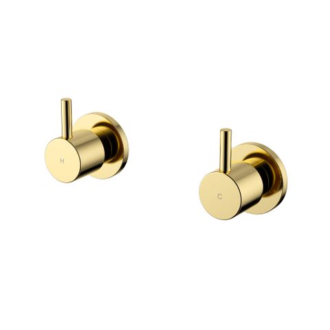 Star Mini Wall Top Assemblies Pvd Polished Brass