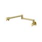 Star Mini Kitchen Pot Filler Pvd Polished Brass